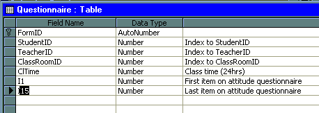 Design View of Questionnaire Table